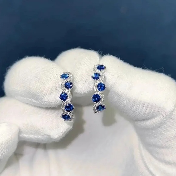 Blue & Silver Crystal Lever-back Locking Earrings - Picture 4 of 4